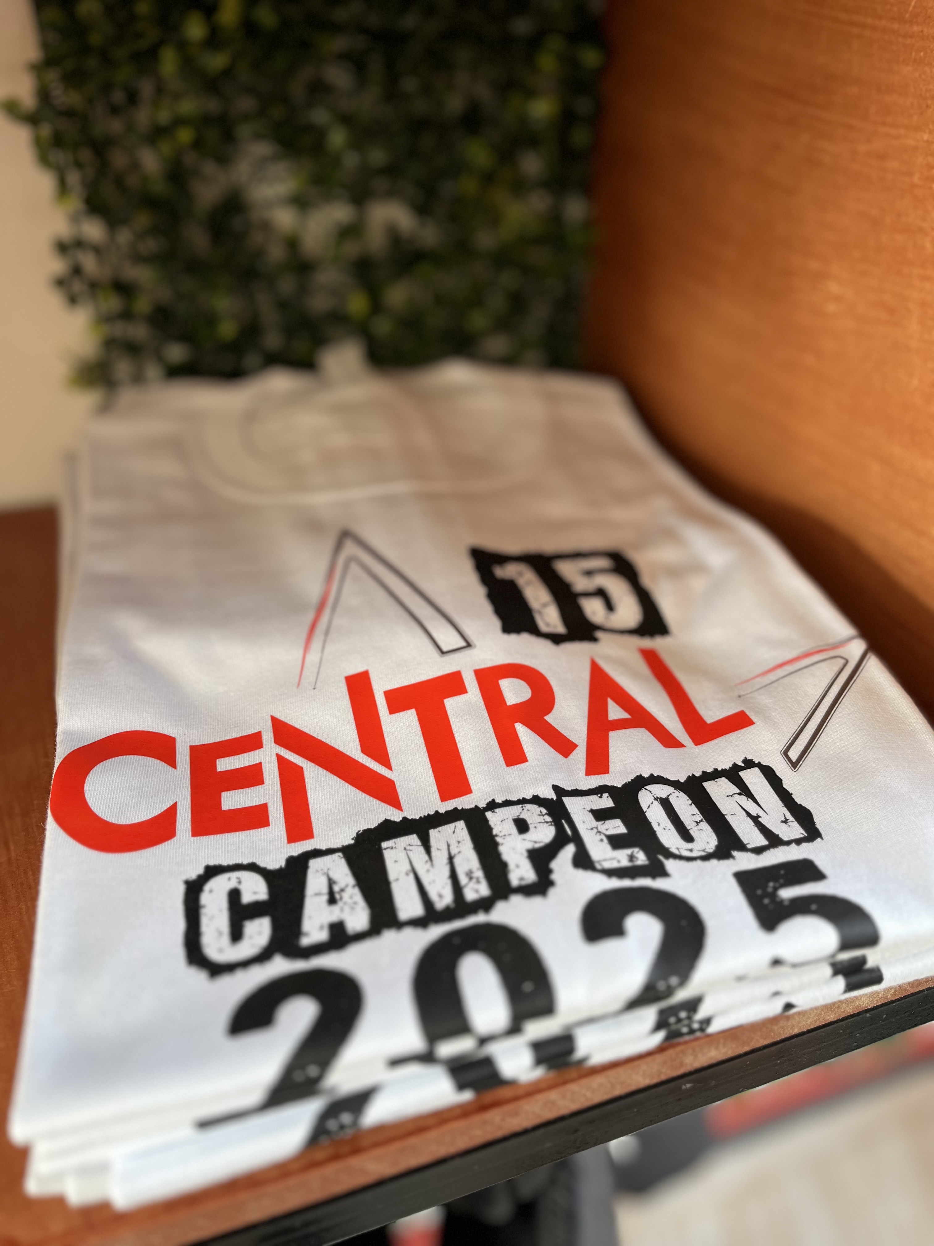REMERA CAMPEONES
